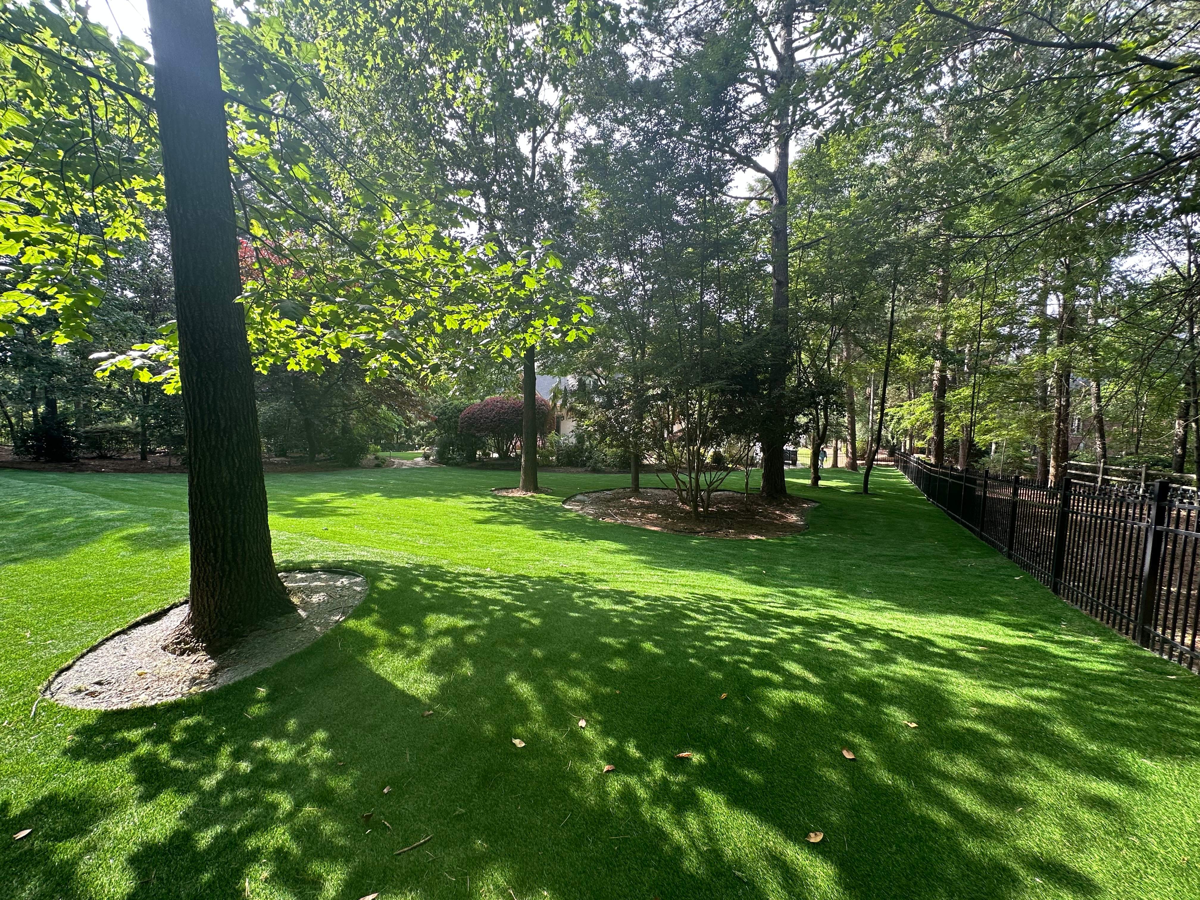 Image for Residential Lawn Turf
